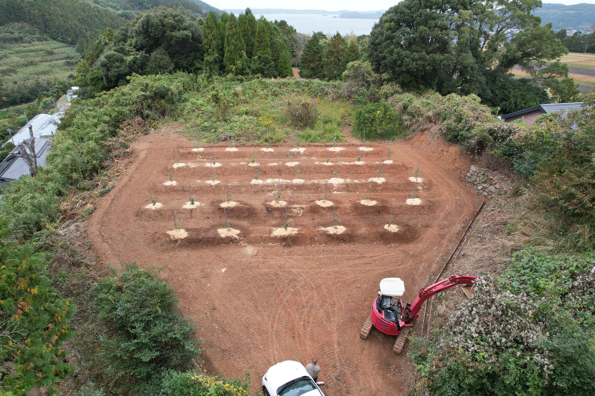 農場 空撮（松浦湾を望む）