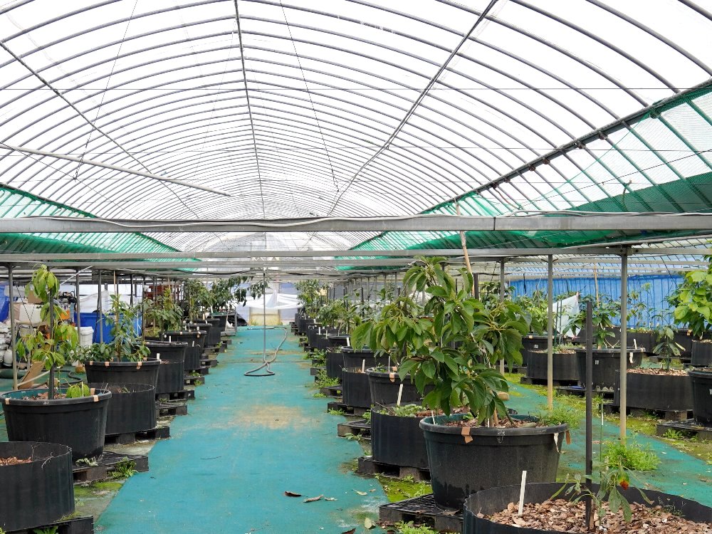 ハウス内部（広角）