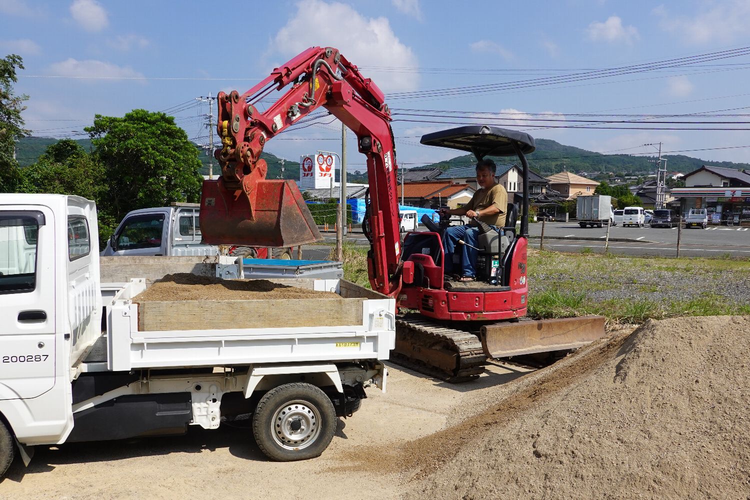アボカド苗木（黄色バスケット）